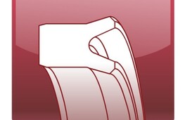 Imagen de Simétricos Imagen de Simétricos